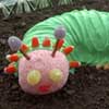 Caterpillar Cake