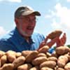Idaho Potatoes