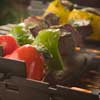 Pesto Steak Kebabs