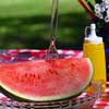 Tips for the Perfect Picnic