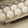 Eggs in Carton