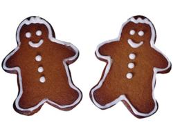 Gingerbread Cookies RE National Cookie Day