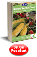 Spring Veggie Fever: 25 Mouthwatering Spring Vegetable Recipes Free eCookbook
